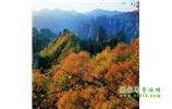 長沙往返張家界、天子山、寶峰湖/黃龍洞三日游